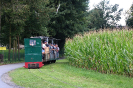 Bienenschwarm überfällt Feldbahn
