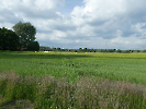 Nächster Fahrtag Sonntag 25.05.2025  11-17 Uhr
