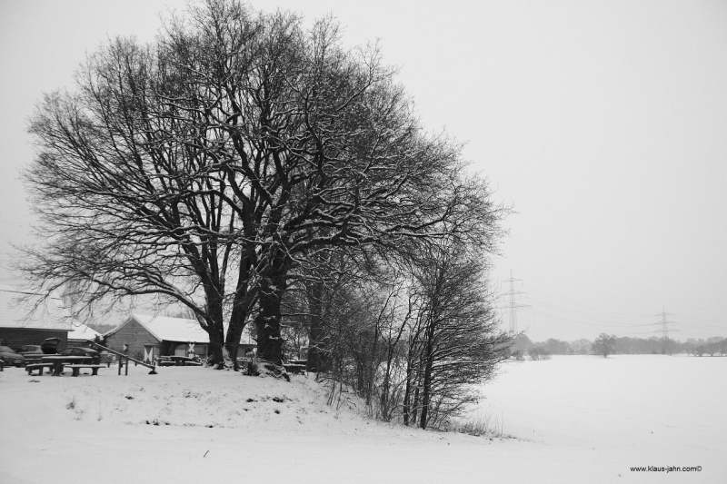 2013-01-16 Schneebild 3